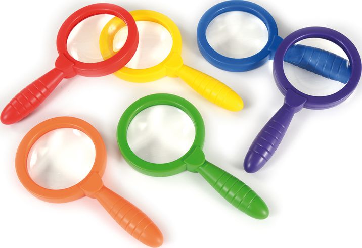 Lupen 20 cm, 6er Set